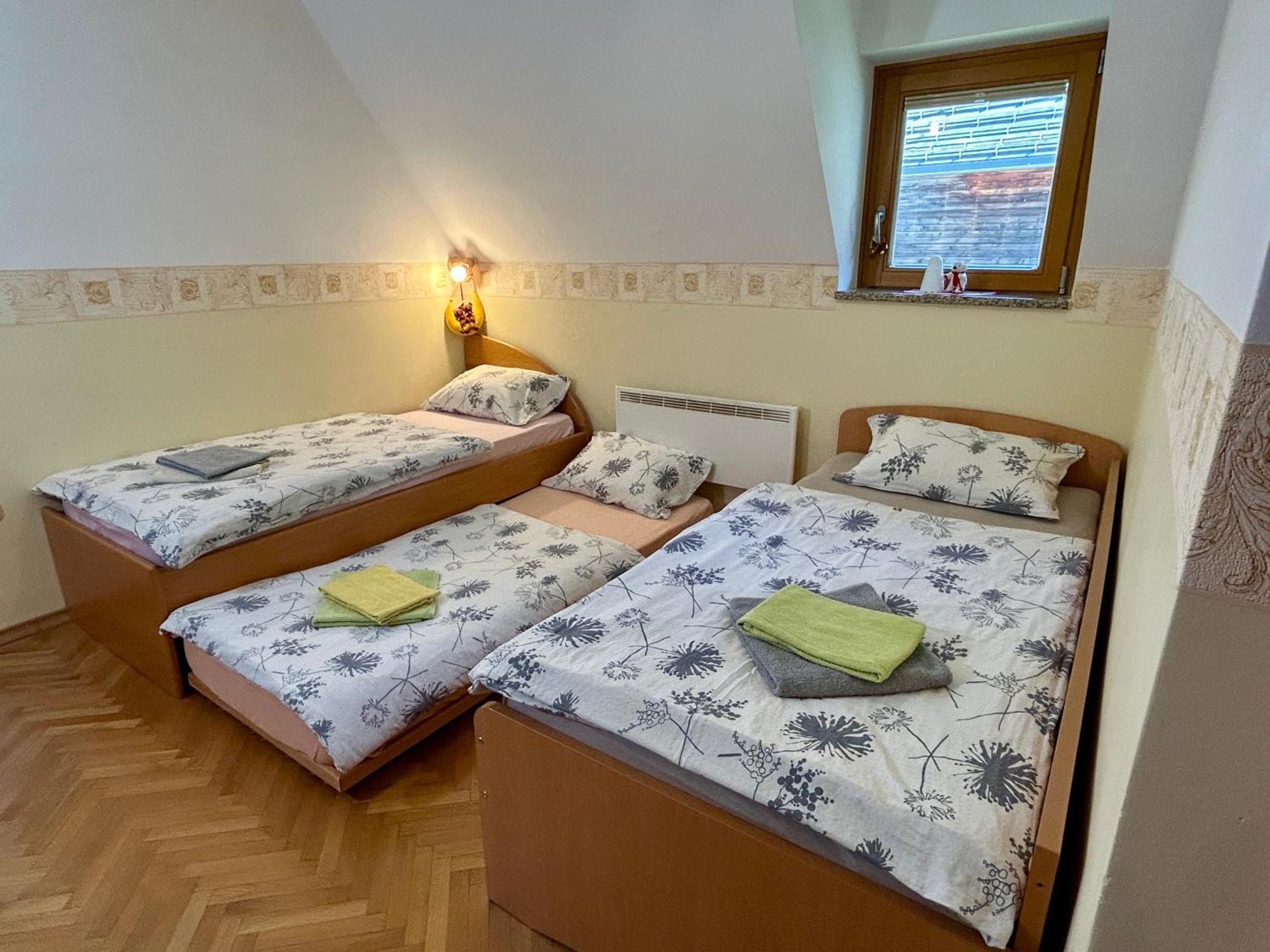 Apartment Crystal Rose Kranjska Gora Exterior foto